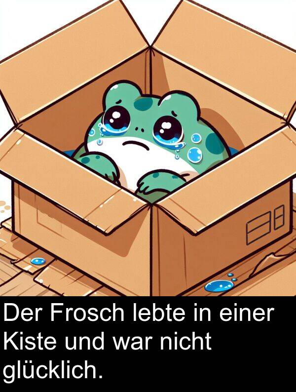 einer: Der Frosch lebte in einer Kiste und war nicht glücklich.