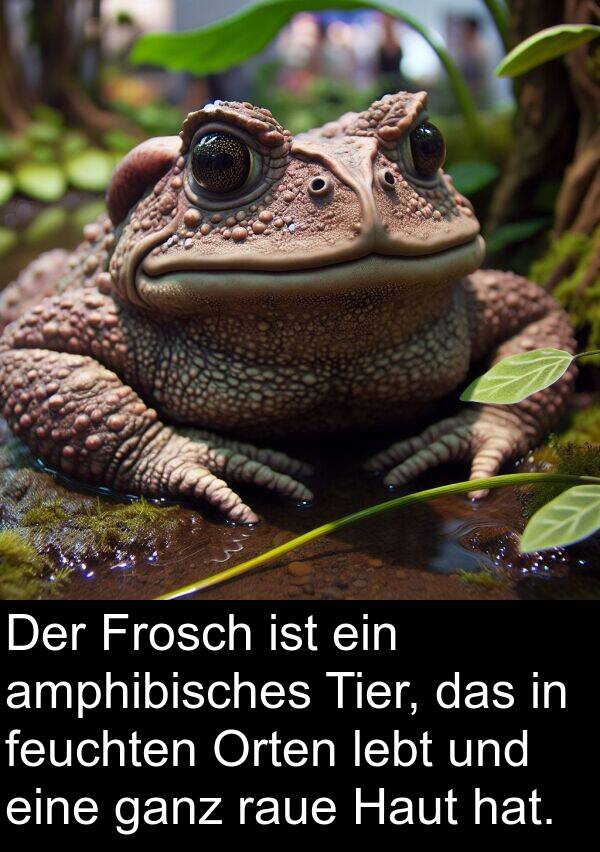 ganz: Der Frosch ist ein amphibisches Tier, das in feuchten Orten lebt und eine ganz raue Haut hat.