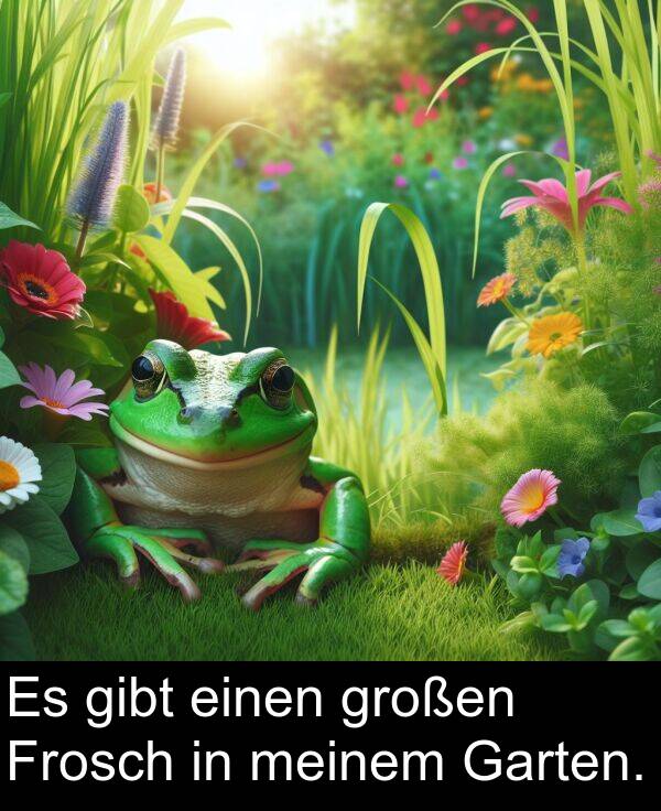 Garten: Es gibt einen großen Frosch in meinem Garten.