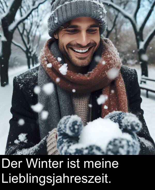 Der: Der Winter ist meine Lieblingsjahreszeit.