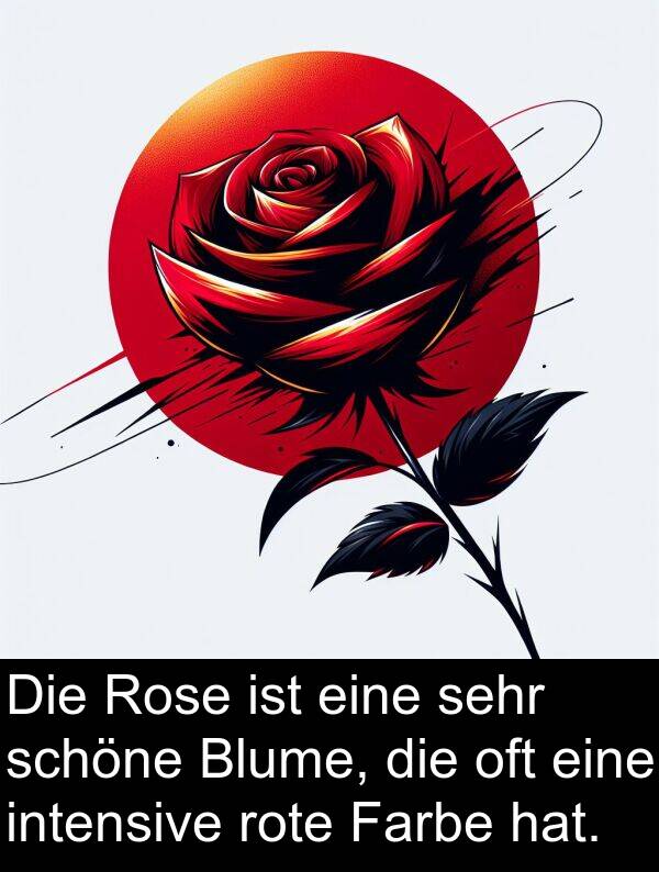 oft: Die Rose ist eine sehr schöne Blume, die oft eine intensive rote Farbe hat.