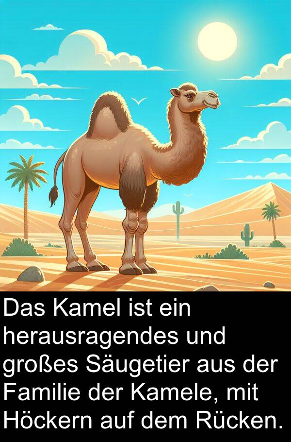 Familie: Das Kamel ist ein herausragendes und großes Säugetier aus der Familie der Kamele, mit Höckern auf dem Rücken.