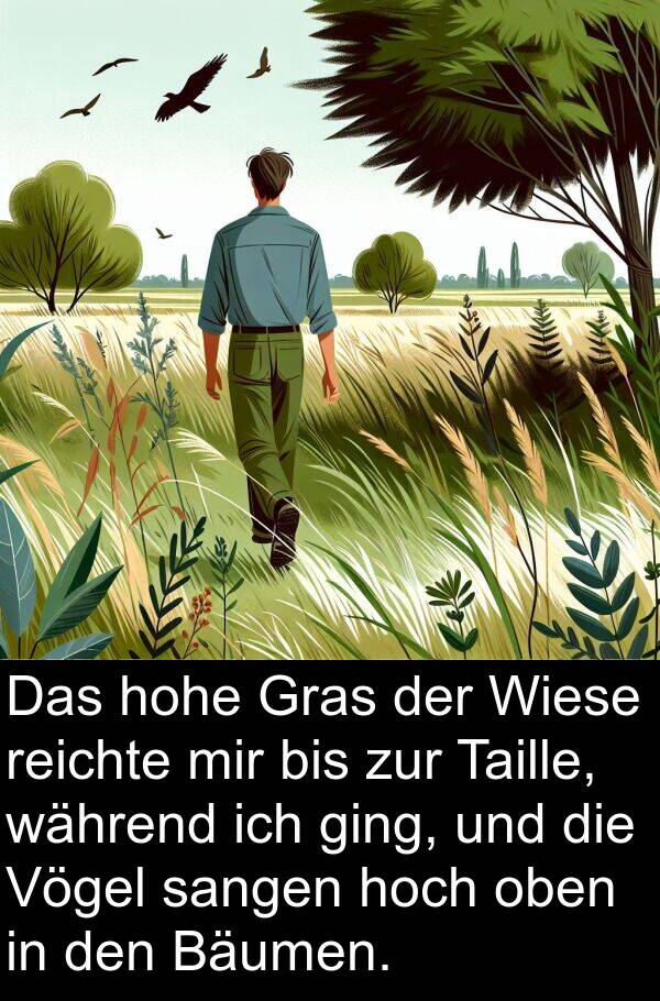 reichte: Das hohe Gras der Wiese reichte mir bis zur Taille, während ich ging, und die Vögel sangen hoch oben in den Bäumen.