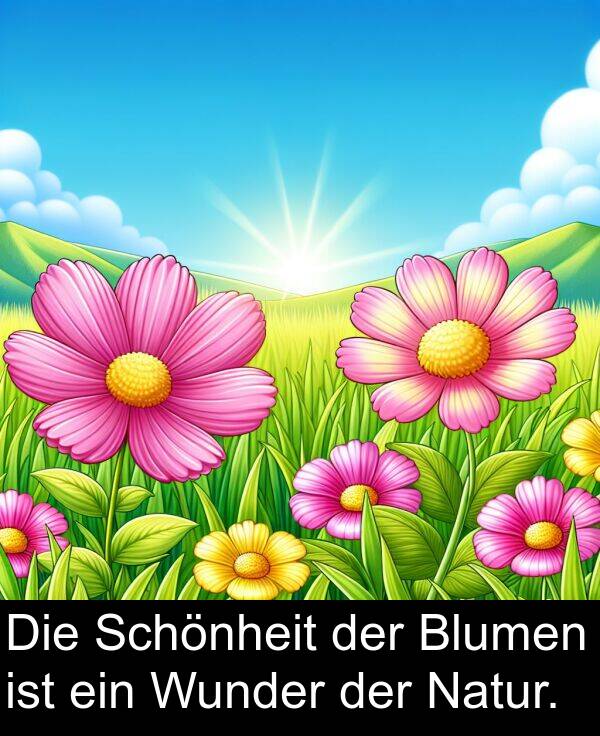 Natur: Die Schönheit der Blumen ist ein Wunder der Natur.