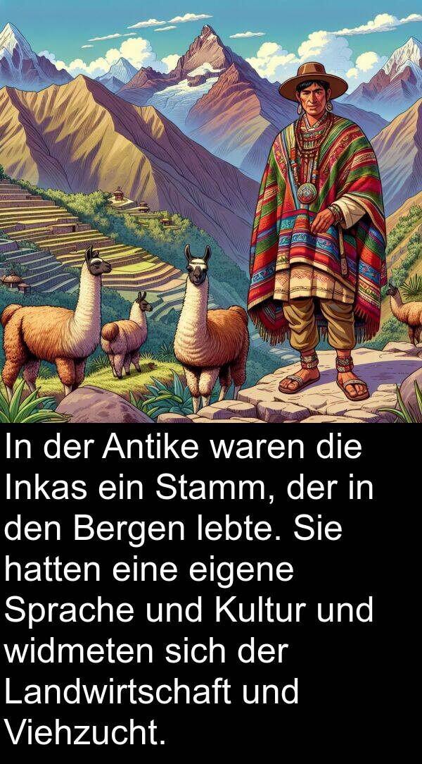 eigene: In der Antike waren die Inkas ein Stamm, der in den Bergen lebte. Sie hatten eine eigene Sprache und Kultur und widmeten sich der Landwirtschaft und Viehzucht.