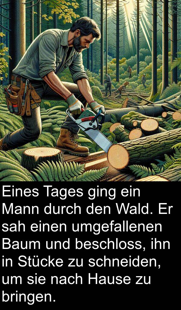 Hause: Eines Tages ging ein Mann durch den Wald. Er sah einen umgefallenen Baum und beschloss, ihn in Stücke zu schneiden, um sie nach Hause zu bringen.