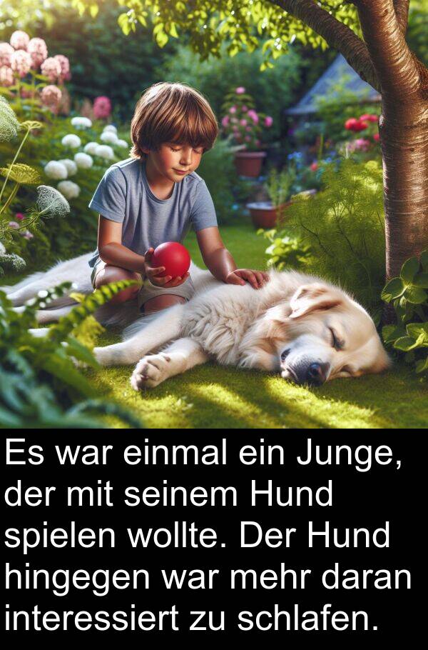 einmal: Es war einmal ein Junge, der mit seinem Hund spielen wollte. Der Hund hingegen war mehr daran interessiert zu schlafen.