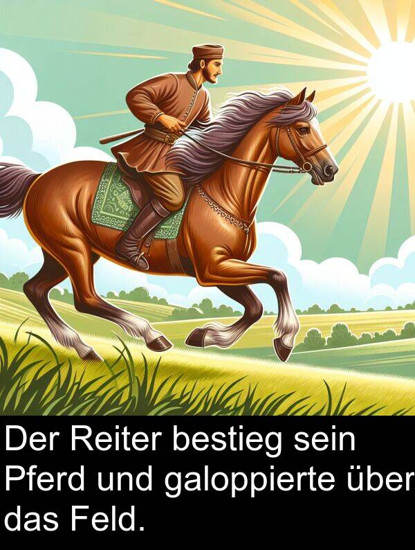 Pferd: Der Reiter bestieg sein Pferd und galoppierte über das Feld.