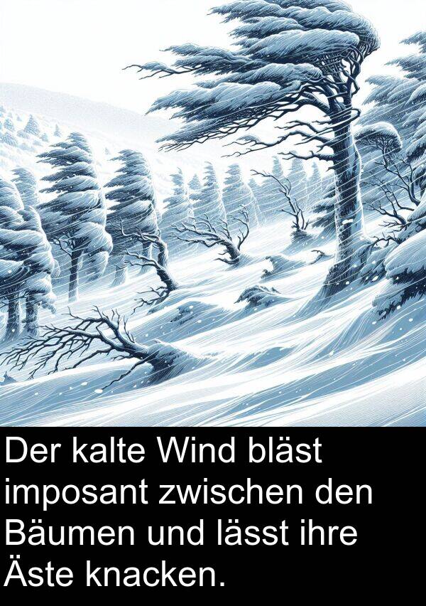 kalte: Der kalte Wind bläst imposant zwischen den Bäumen und lässt ihre Äste knacken.