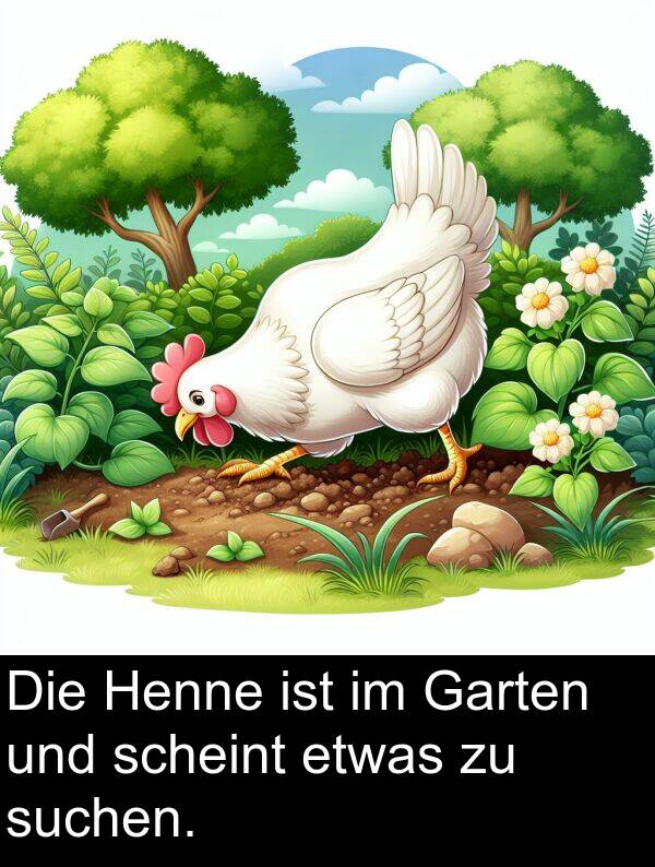 Garten: Die Henne ist im Garten und scheint etwas zu suchen.