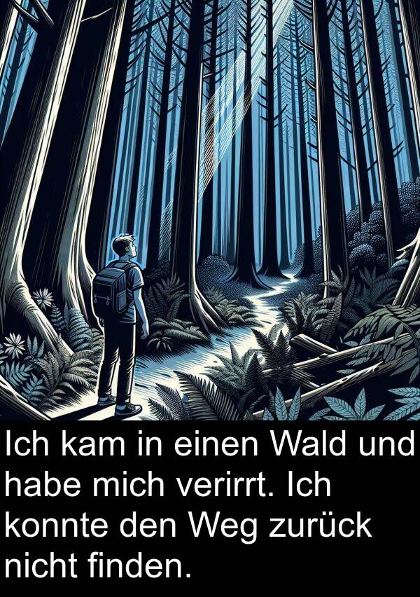 kam: Ich kam in einen Wald und habe mich verirrt. Ich konnte den Weg zurück nicht finden.