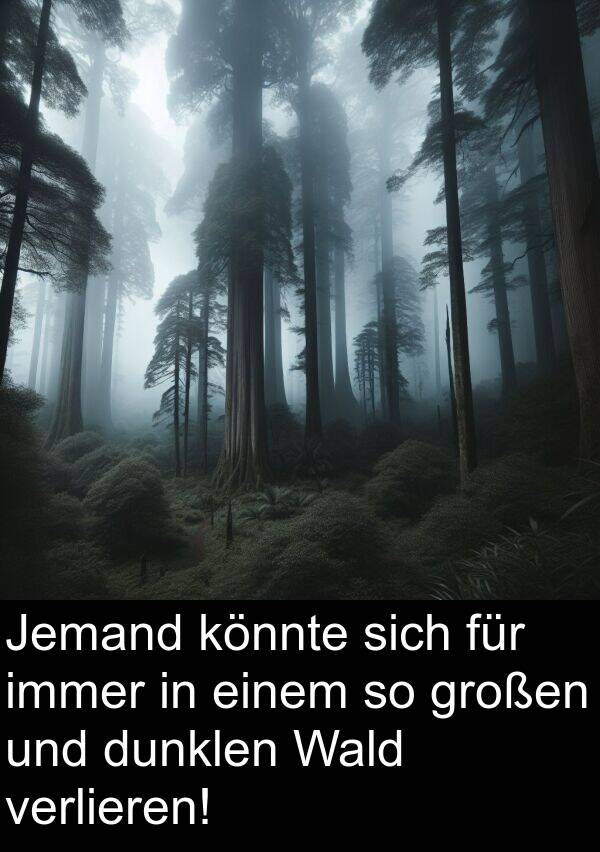 könnte: Jemand könnte sich für immer in einem so großen und dunklen Wald verlieren!