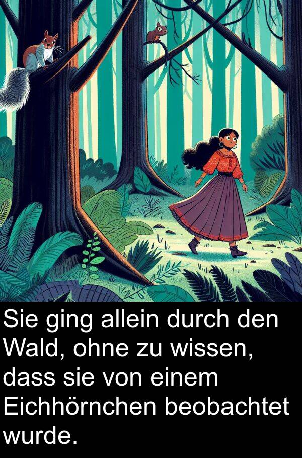 Eichhörnchen: Sie ging allein durch den Wald, ohne zu wissen, dass sie von einem Eichhörnchen beobachtet wurde.