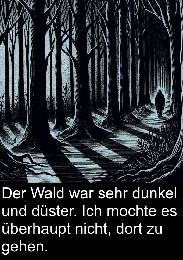 düster: Der Wald war sehr dunkel und düster. Ich mochte es überhaupt nicht, dort zu gehen.