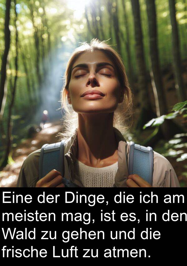 Dinge: Eine der Dinge, die ich am meisten mag, ist es, in den Wald zu gehen und die frische Luft zu atmen.