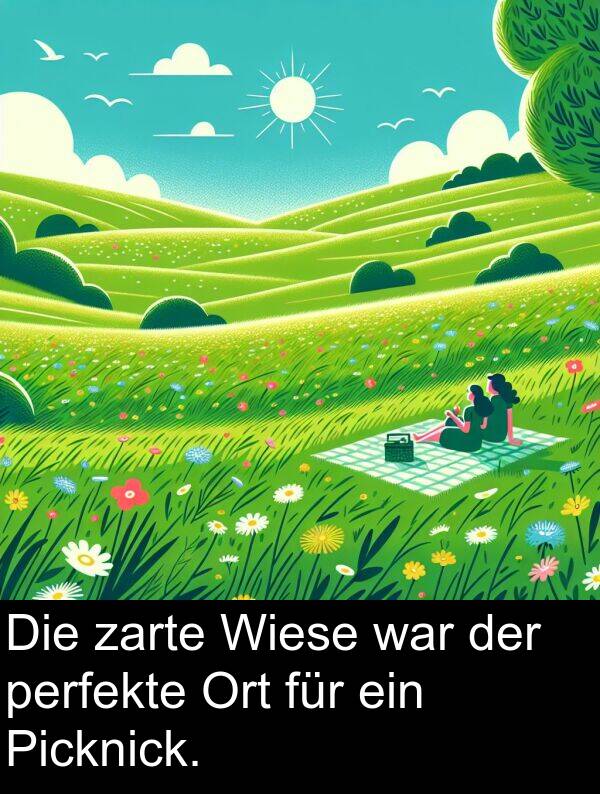 für: Die zarte Wiese war der perfekte Ort für ein Picknick.