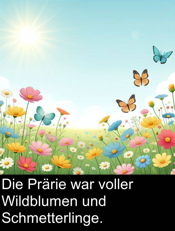 voller: Die Prärie war voller Wildblumen und Schmetterlinge.