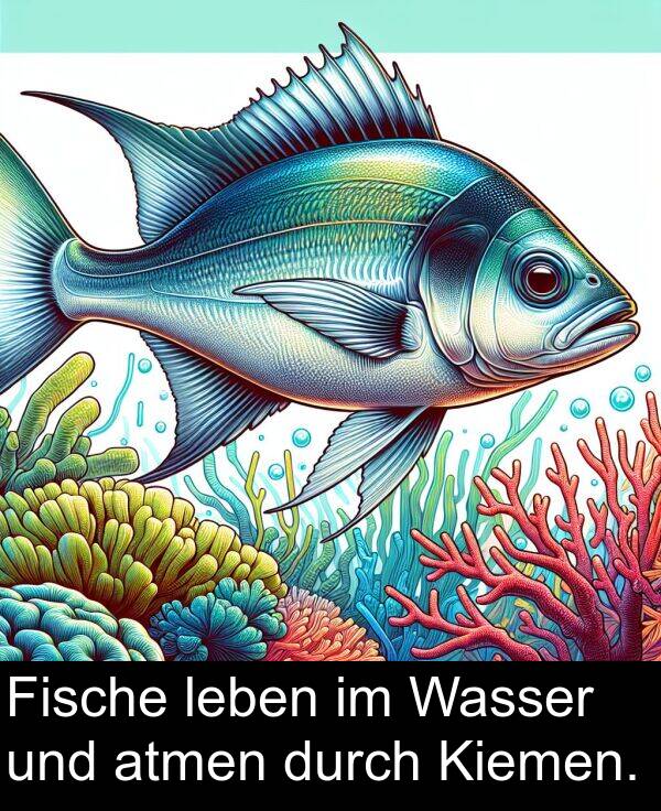 Kiemen: Fische leben im Wasser und atmen durch Kiemen.