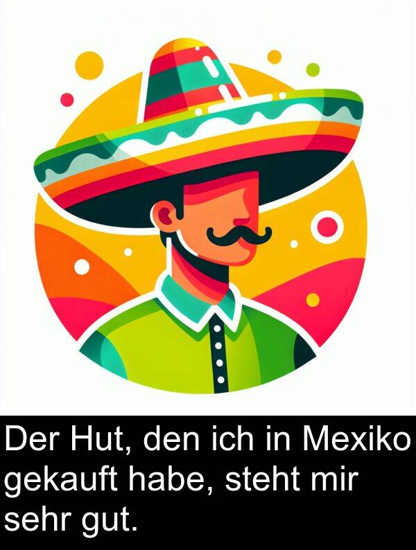 gekauft: Der Hut, den ich in Mexiko gekauft habe, steht mir sehr gut.