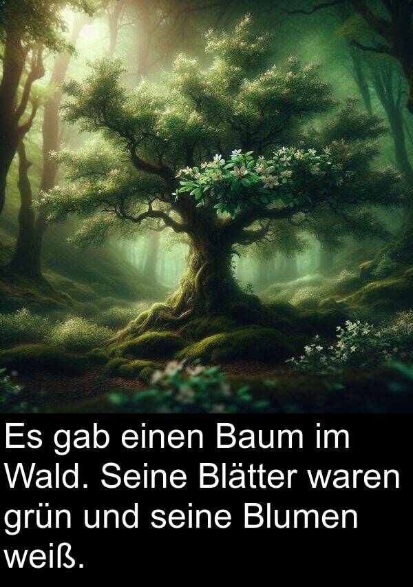 weiß: Es gab einen Baum im Wald. Seine Blätter waren grün und seine Blumen weiß.