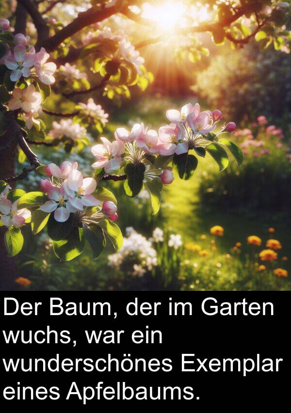 Apfelbaums: Der Baum, der im Garten wuchs, war ein wunderschönes Exemplar eines Apfelbaums.