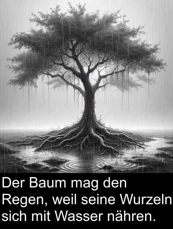 mag: Der Baum mag den Regen, weil seine Wurzeln sich mit Wasser nähren.