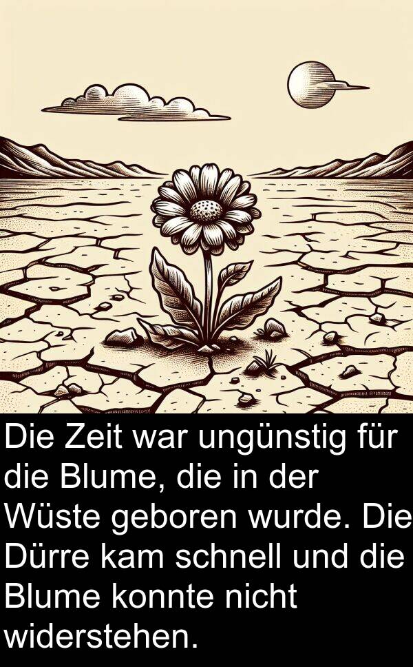 kam: Die Zeit war ungünstig für die Blume, die in der Wüste geboren wurde. Die Dürre kam schnell und die Blume konnte nicht widerstehen.