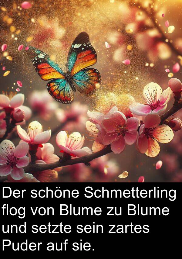 flog: Der schöne Schmetterling flog von Blume zu Blume und setzte sein zartes Puder auf sie.