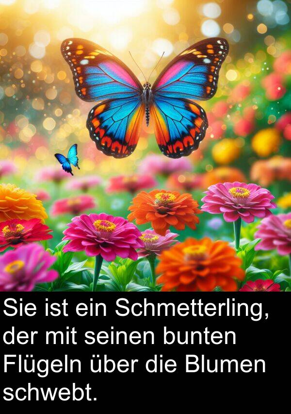 Flügeln: Sie ist ein Schmetterling, der mit seinen bunten Flügeln über die Blumen schwebt.