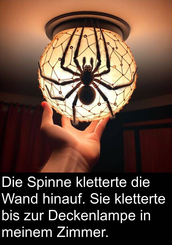 Deckenlampe: Die Spinne kletterte die Wand hinauf. Sie kletterte bis zur Deckenlampe in meinem Zimmer.