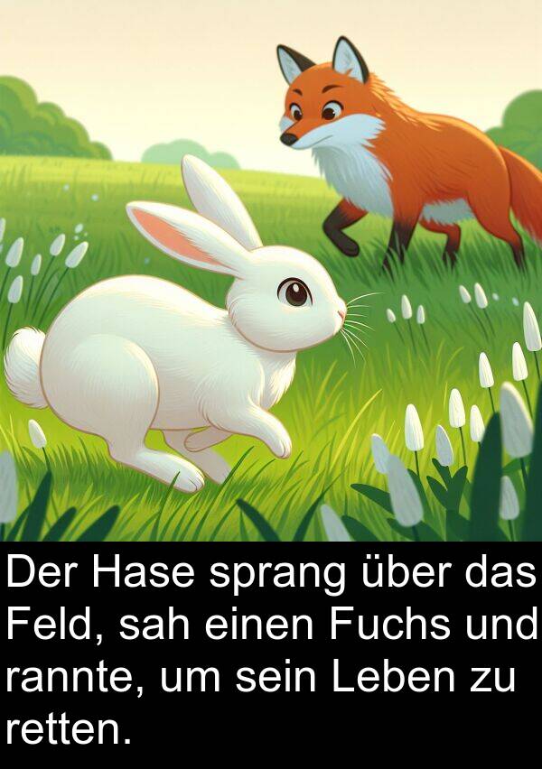 rannte: Der Hase sprang über das Feld, sah einen Fuchs und rannte, um sein Leben zu retten.