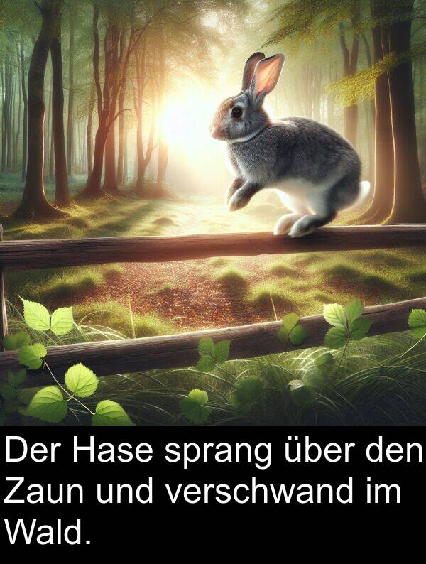 Zaun: Der Hase sprang über den Zaun und verschwand im Wald.