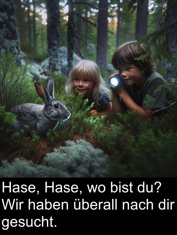 dir: Hase, Hase, wo bist du? Wir haben überall nach dir gesucht.