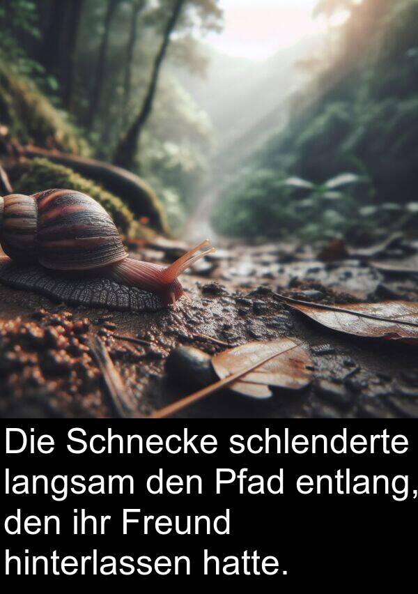 Pfad: Die Schnecke schlenderte langsam den Pfad entlang, den ihr Freund hinterlassen hatte.