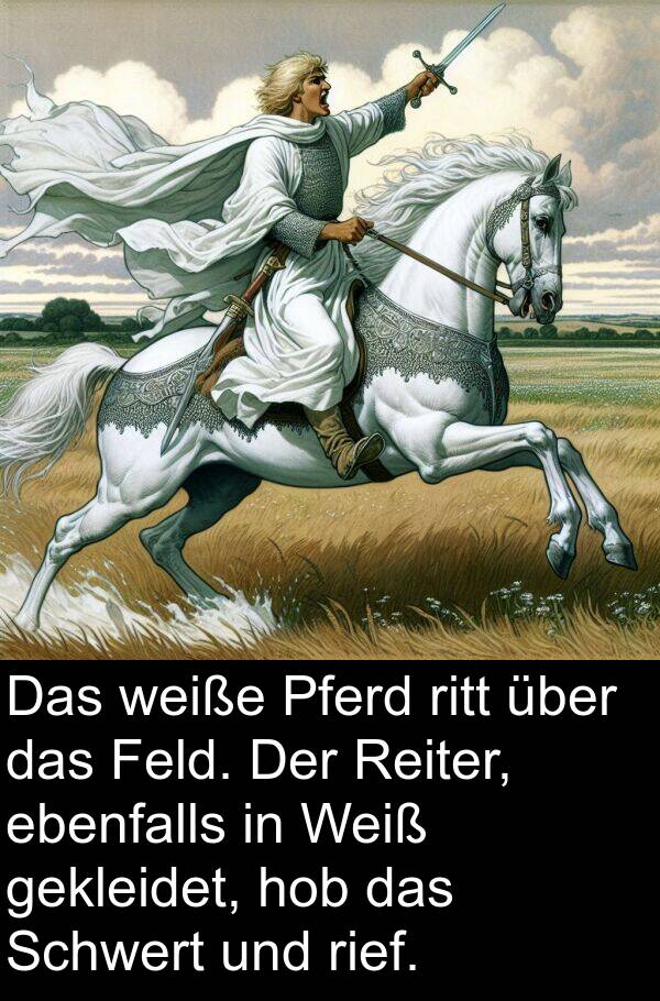 ebenfalls: Das weiße Pferd ritt über das Feld. Der Reiter, ebenfalls in Weiß gekleidet, hob das Schwert und rief.