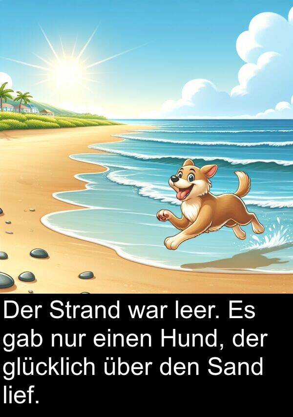 Sand: Der Strand war leer. Es gab nur einen Hund, der glücklich über den Sand lief.