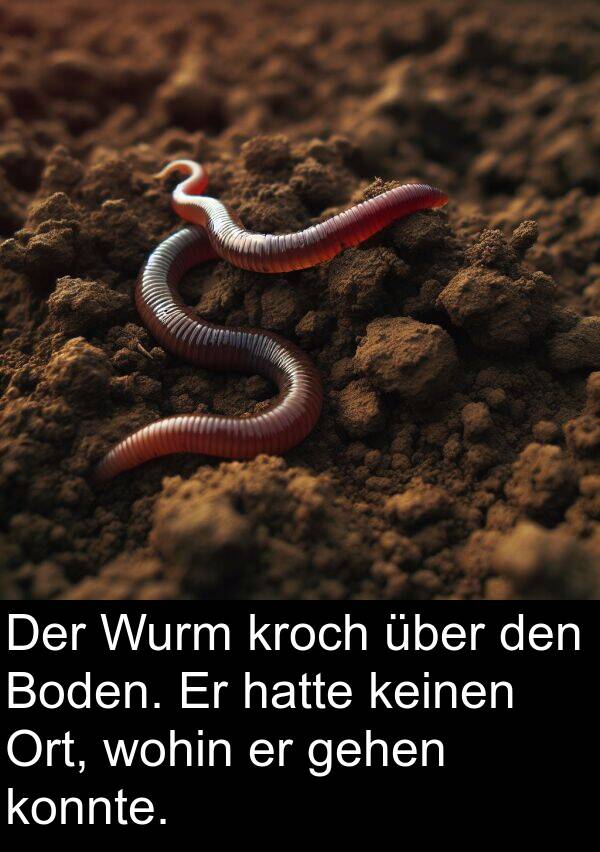 keinen: Der Wurm kroch über den Boden. Er hatte keinen Ort, wohin er gehen konnte.