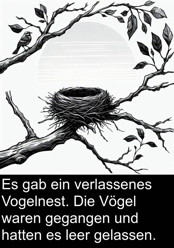 hatten: Es gab ein verlassenes Vogelnest. Die Vögel waren gegangen und hatten es leer gelassen.