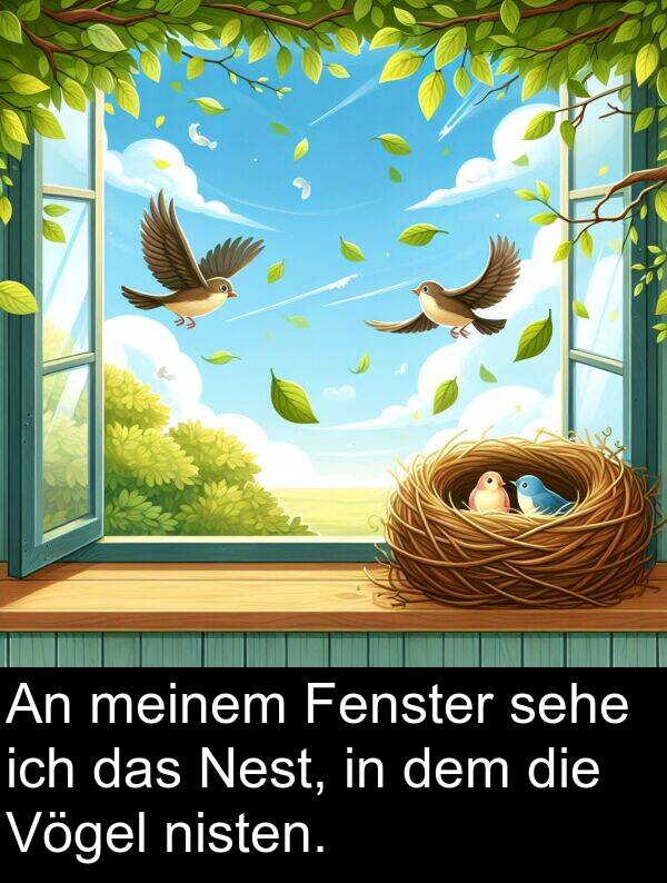 Nest: An meinem Fenster sehe ich das Nest, in dem die Vögel nisten.