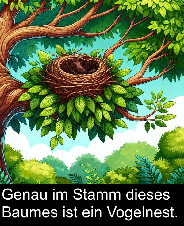 dieses: Genau im Stamm dieses Baumes ist ein Vogelnest.