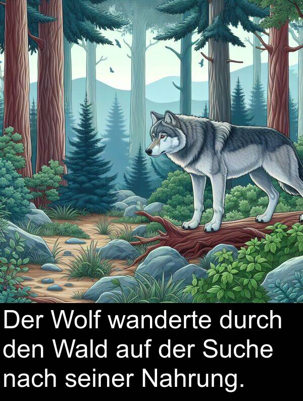 nach: Der Wolf wanderte durch den Wald auf der Suche nach seiner Nahrung.