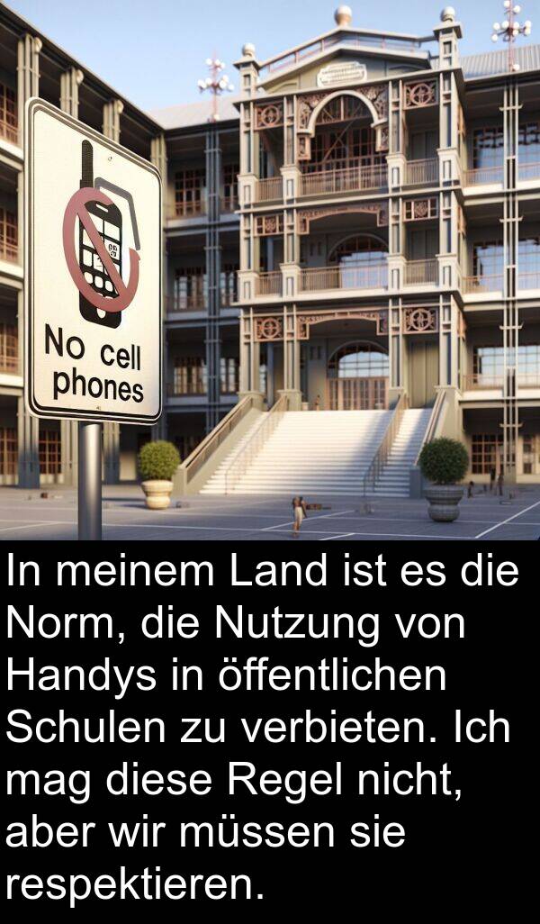 verbieten: In meinem Land ist es die Norm, die Nutzung von Handys in öffentlichen Schulen zu verbieten. Ich mag diese Regel nicht, aber wir müssen sie respektieren.