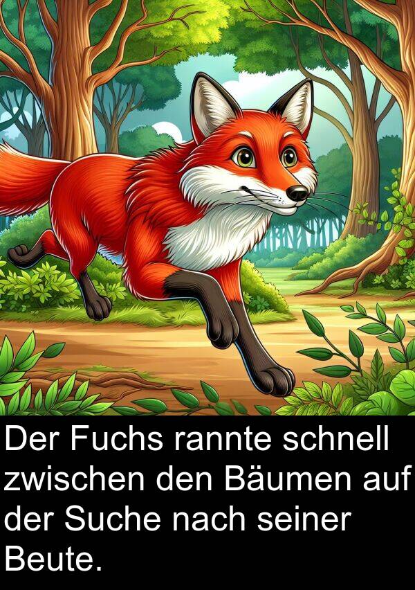 rannte: Der Fuchs rannte schnell zwischen den Bäumen auf der Suche nach seiner Beute.