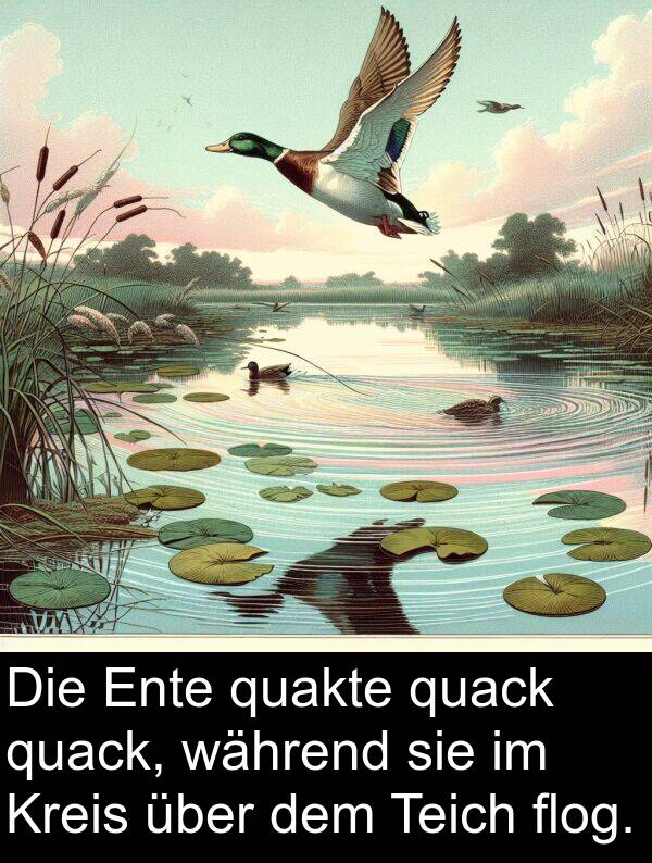 quakte: Die Ente quakte quack quack, während sie im Kreis über dem Teich flog.