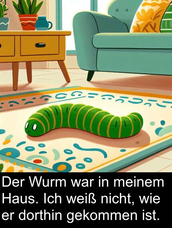 Haus: Der Wurm war in meinem Haus. Ich weiß nicht, wie er dorthin gekommen ist.