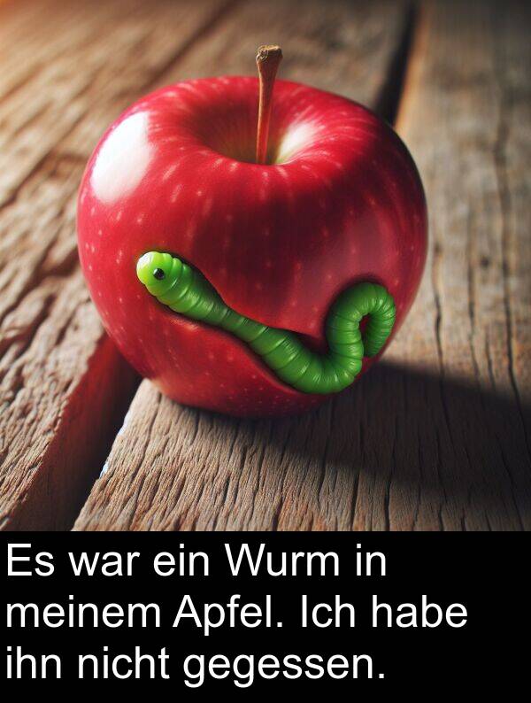 ihn: Es war ein Wurm in meinem Apfel. Ich habe ihn nicht gegessen.