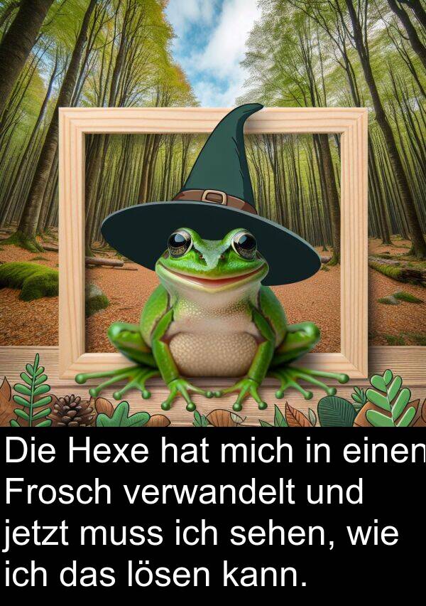 Hexe: Die Hexe hat mich in einen Frosch verwandelt und jetzt muss ich sehen, wie ich das lösen kann.