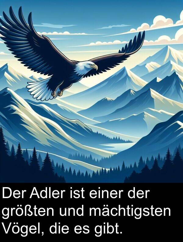 einer: Der Adler ist einer der größten und mächtigsten Vögel, die es gibt.