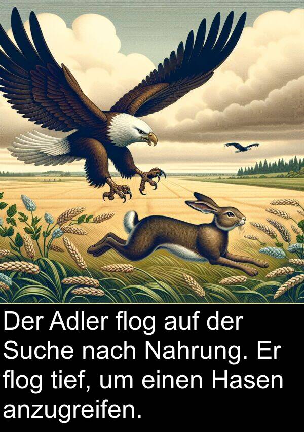 Adler: Der Adler flog auf der Suche nach Nahrung. Er flog tief, um einen Hasen anzugreifen.