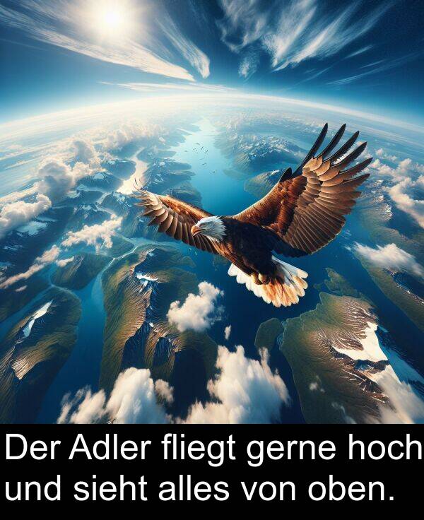 Adler: Der Adler fliegt gerne hoch und sieht alles von oben.